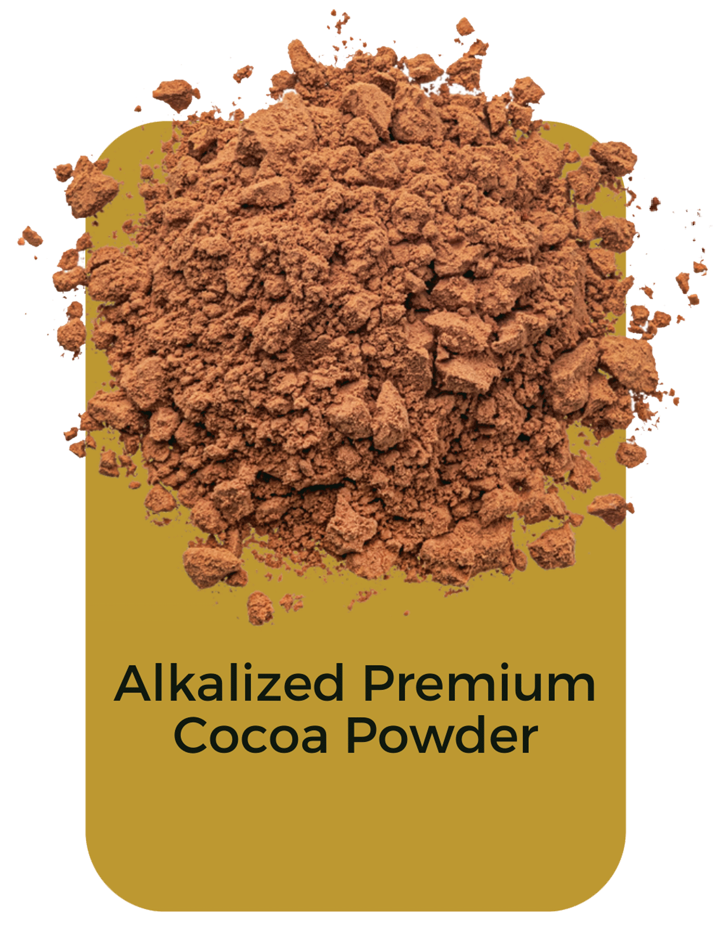 Alkalized-PremiumCocoa-Powder